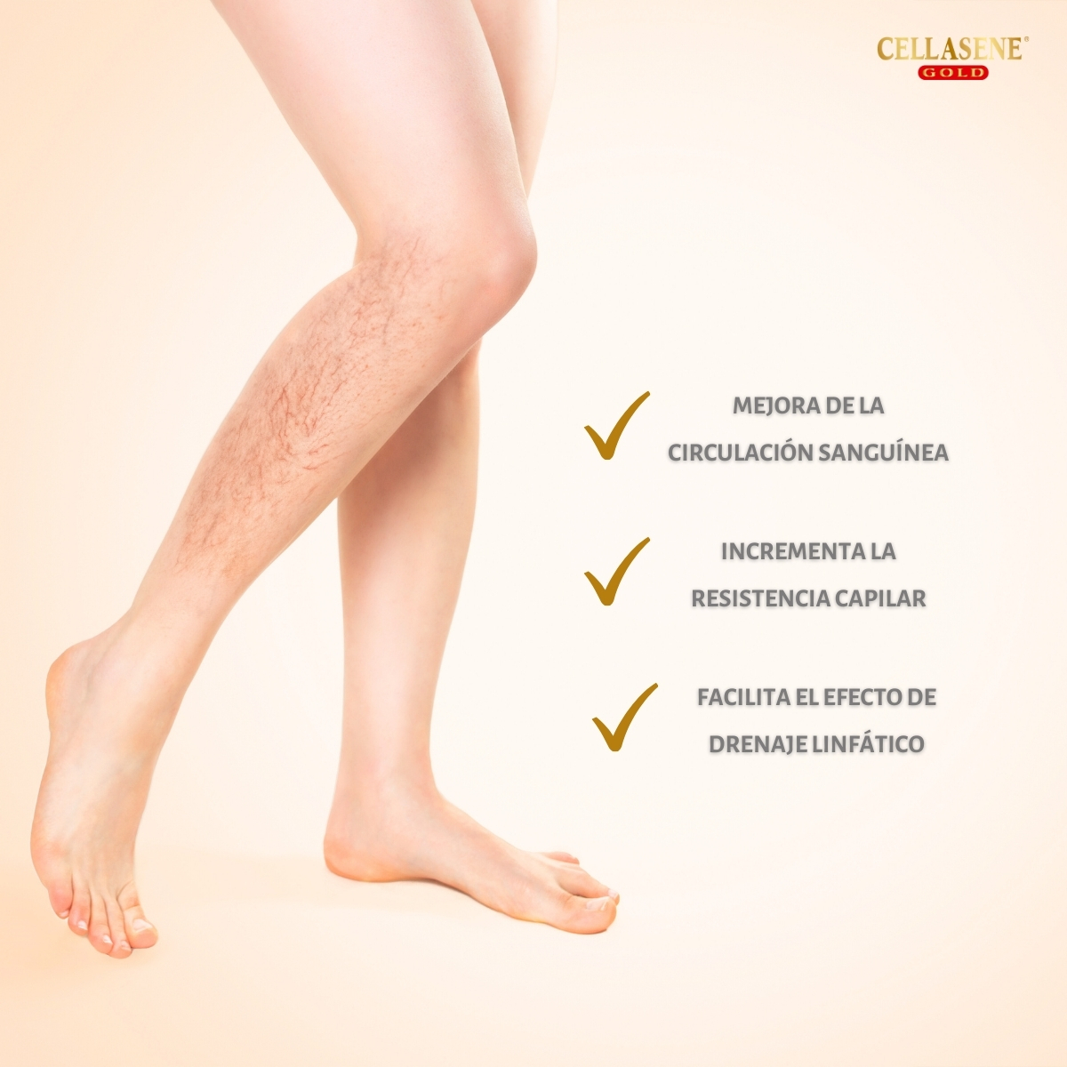 Pack X 6 Cellasene Gold Celulitis - Avanzada E Incrustada - (atacar) Tratamiento De 3 Meses