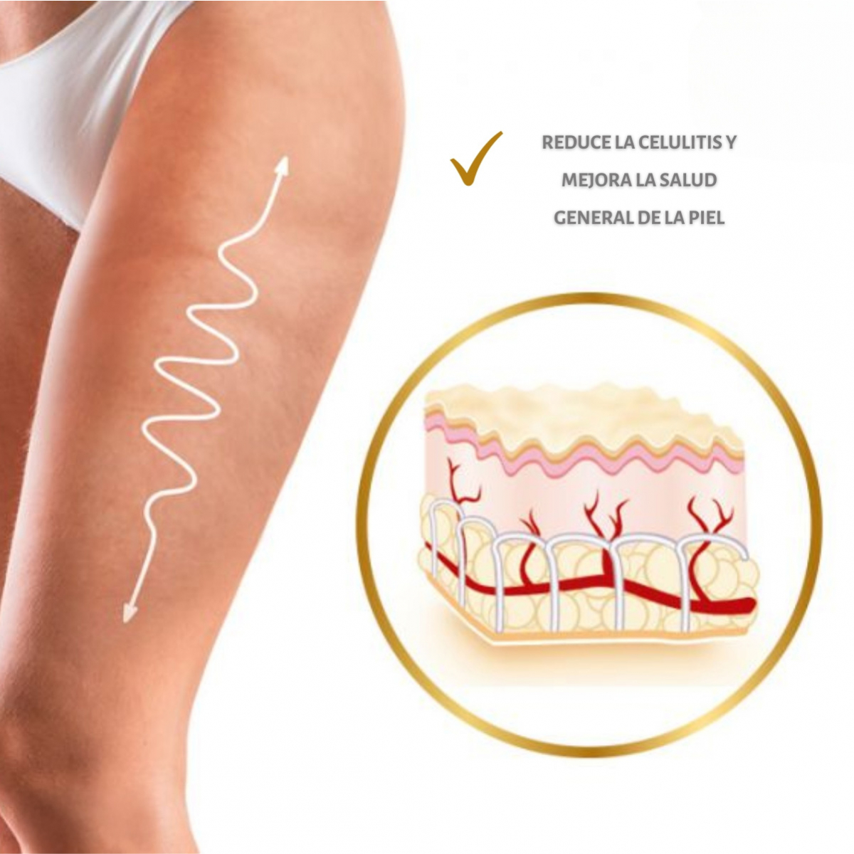 Pack X 8 Cellasene® Gold Celulitis – Avanzada + Mantenimiento – (atacar & Mantener) Tratamiento 5 Meses