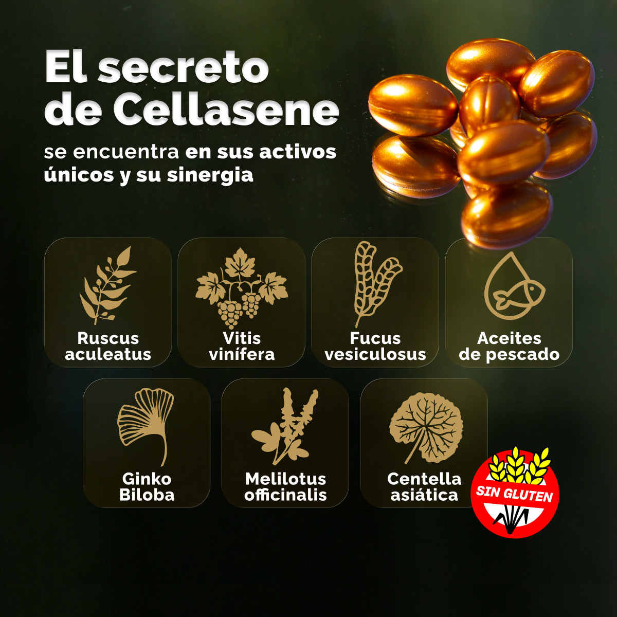 Pack X 6 Cellasene Gold Celulitis - Avanzada E Incrustada - (atacar) Tratamiento De 3 Meses