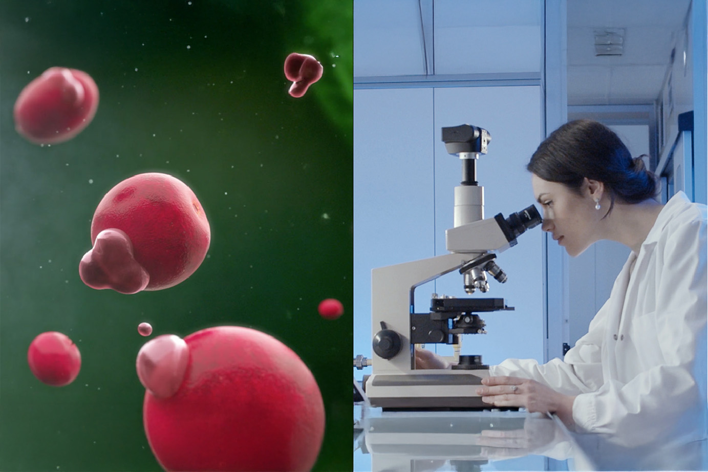 Tus piernas merecen lo mejor: Conocé la tecnología que potencia Cellasene