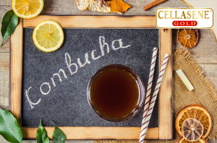 Los beneficios de la tan popular kombucha